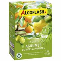 Fertilizante para plantas Algoflash Naturasol Azeitona Palmeira Citrinos 1 kg