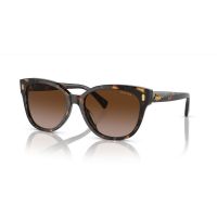 Óculos escuros femininos Ralph Lauren RA 5305U