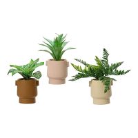 Planta Decorativa EDM 808559 Vaso 25 cm